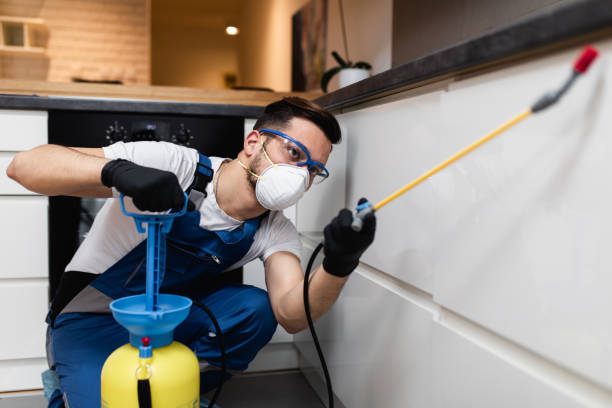 Trusted Rothschild, WI Pest Control Experts