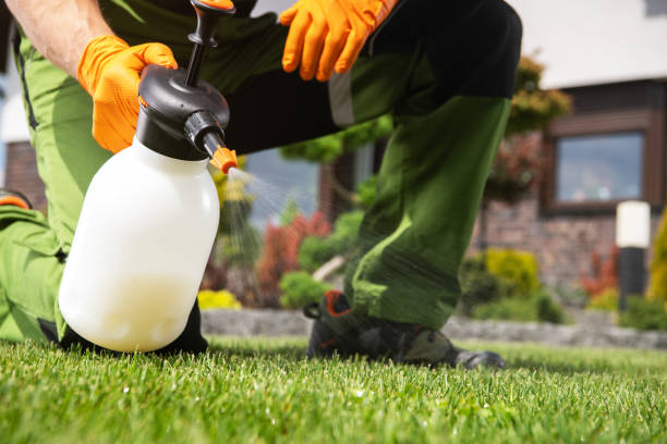 Best Pest Control Near Me  in Rothschild, WI