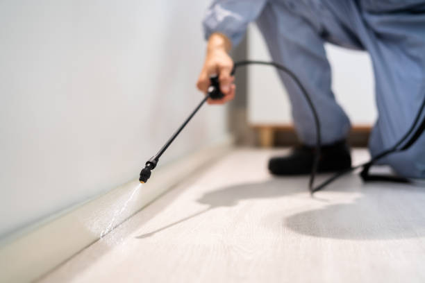 Best Flea Control Services  in Rothschild, WI