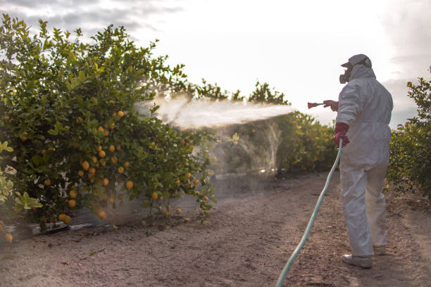 Best Emergency Pest Control  in Rothschild, WI