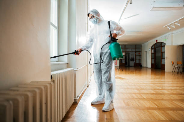 Best Local Pest Control Services  in Rothschild, WI