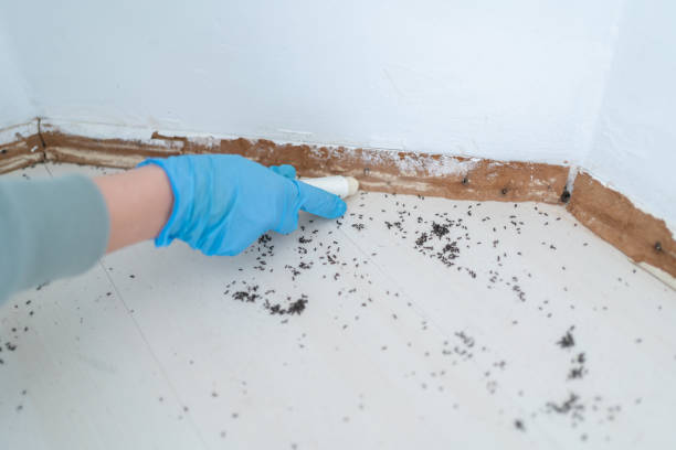 Best Affordable Pest Control Services  in Rothschild, WI